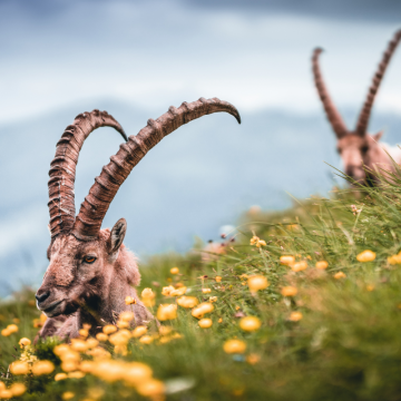 Jak pomáháme a koho podporujeme