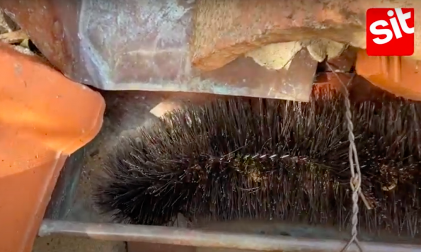 Bodlinový kartáč na údržbu okapů, odtokových žlabů, ochranu solárních panelů - Salvagronda